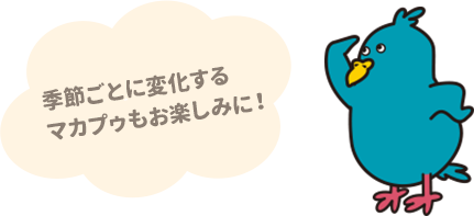 季節ごとに変化するマカプゥもお楽しみに！